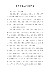 国有企业人才培训方案