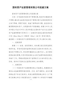 国有资产运营管理有限公司组建方案