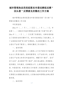 城市管理执法局党组落实市委巡察组巡察＂回头看＂反馈意见的整改工作方案