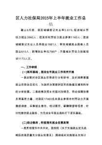 区人力社保局（人社局）2025年上半年就业工作总结