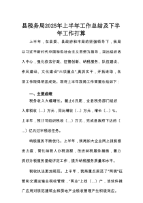 县税务局2025年上半年工作总结及下半年工作打算
