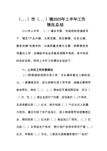 市镇2025年上半年工作情况总结