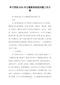 学习贯彻2025年主题教育检视问题工作方案