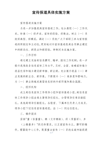 宣传报道具体实施方案