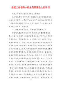 巡视工作领导小组成员反馈会上的讲话