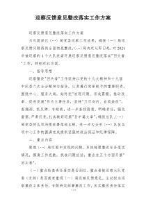 巡察反馈意见整改落实工作方案