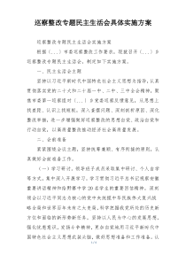 巡察整改专题民主生活会具体实施方案