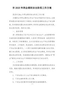 市2025年两会期间安全防范工作方案