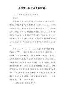 在审计工作会议上的讲话1