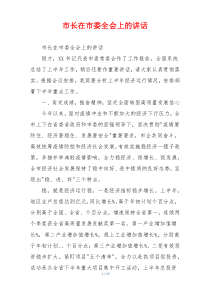 市长在市委全会上的讲话