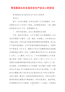 常务副县长在全县安全生产会议上的讲话