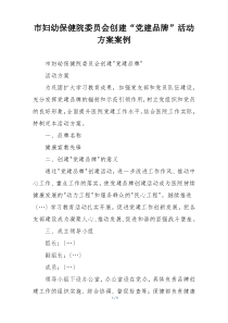 市妇幼保健院委员会创建“党建品牌”活动方案案例
