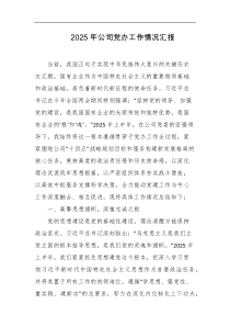 2025年公司党办工作情况汇报