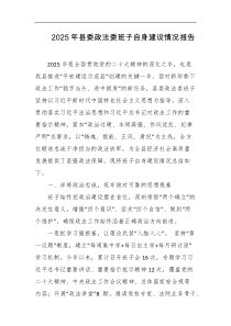 2025年县委政法委班子自身建设情况报告