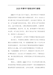 2025年青年干部培训学习感悟