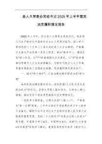 县人大常委会党组书记2025年上半年管党治党履职情况报告