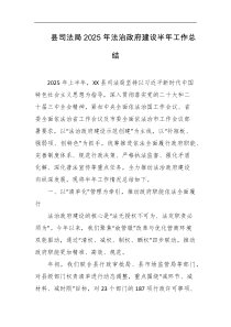 县司法局2025年法治政府建设半年工作总结
