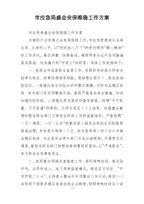 市应急局盛会安保维稳工作方案