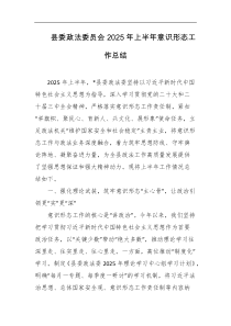 县委政法委员会2025年上半年意识形态工作总结