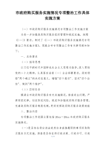 市政府购买服务实施情况专项整治工作具体实施方案