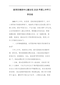 县项目推进中心副主任2025年度上半年工作总结