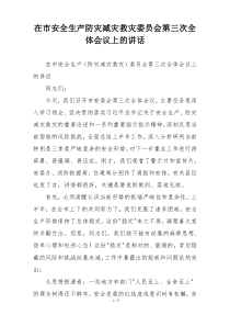 在市安全生产防灾减灾救灾委员会第三次全体会议上的讲话