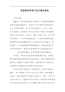 团县委领导班子运行情况报告