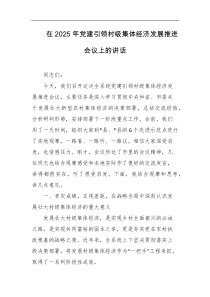 在2025年党建引领村级集体经济发展推进会议上的讲话