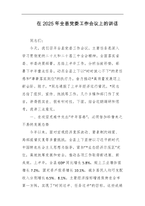 在2025年全县党委工作会议上的讲话
