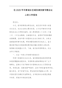 在2025年市委城乡区域协调发展专题会议上的工作报告