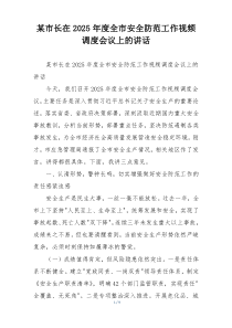 某市长在2025年度全市安全防范工作视频调度会议上的讲话