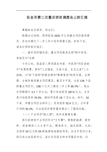 在全市第二次重点项目调度会上的汇报