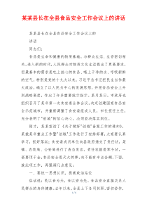 某某县长在全县食品安全工作会议上的讲话