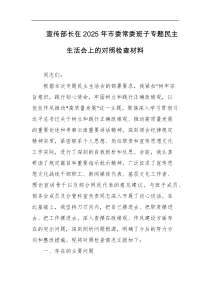 宣传部长在2025年市委常委班子专题民主生活会上的对照检查材料