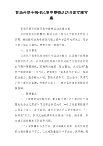 某局开展干部作风集中整顿活动具体实施方案