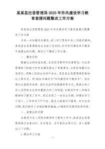 某某县应急管理局2025年作风建设学习教育查摆问题整改工作方案
