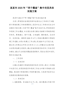 某某市2025年“两个覆盖”集中攻坚具体实施方案