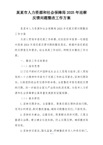 某某市人力资源和社会保障局2025年巡察反馈问题整改工作方案