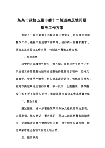 某某市政协五届市委十二轮巡察反馈问题整改工作方案