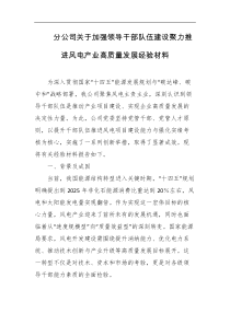 分公司关于加强领导干部队伍建设聚力推进风电产业高质量发展经验材料