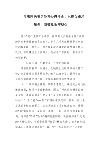 同级同类警示教育心得体会以案为鉴知敬畏防微杜渐守初心