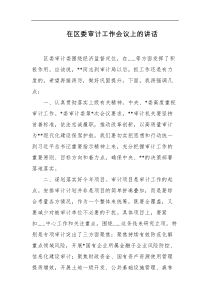 在区委审计工作会议上的讲话