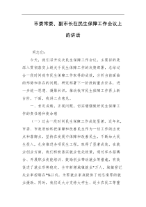 市委常委副市长在民生保障工作会议上的讲话