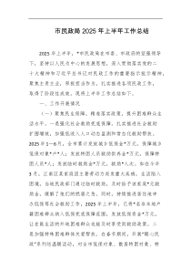 市民政局2025年上半年工作总结