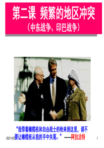 印巴战争PPT精选文档
