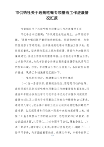 市供销社关于违规吃喝专项整治工作进展情况汇报