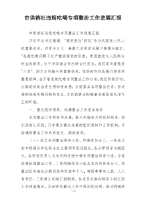 市供销社违规吃喝专项整治工作进展汇报