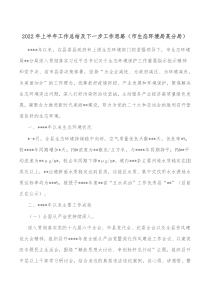 20XX年上半年工作总结及下一步工作思路市生态环境局某分局