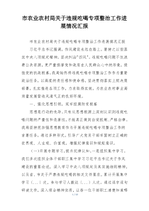 市农业农村局关于违规吃喝专项整治工作进展情况汇报