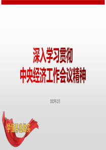 深入学习贯彻中央经济工作会议精神
